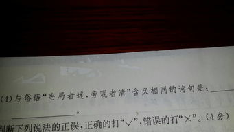 關(guān)于當事者迷旁觀(guān)者清的詩(shī)句