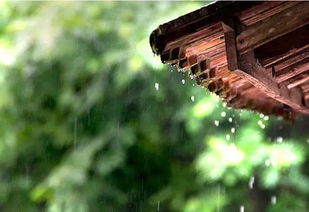 春雨的詩(shī)句古詩(shī)別嚴士元