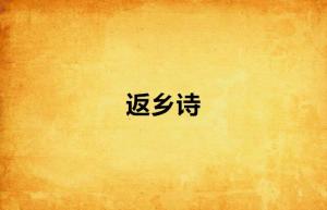 關(guān)于返鄉的詩(shī)句
