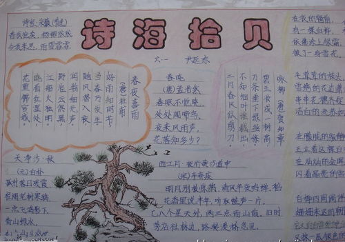二年級上冊關(guān)于中秋節的詩(shī)句,五年級上冊詩(shī)句手抄報,二年級上冊思念故鄉的詩(shī)句