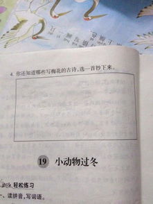 還知道g關(guān)于梅的詩(shī)句