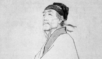 關(guān)于諷喻的詩(shī)句