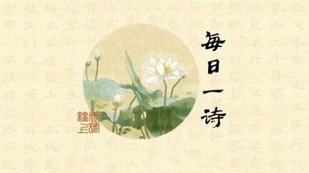 關(guān)于鳥(niǎo)的詩(shī)句春去花還在