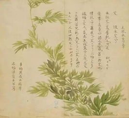 古詩(shī),詩(shī)句,描寫(xiě),植物