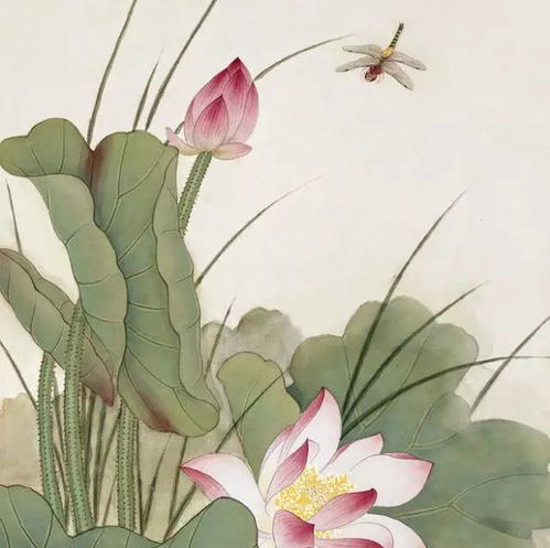關(guān)于荷花的詩(shī)句有哪些三年級,小學(xué)關(guān)于荷花的詩(shī)句有哪些,描寫(xiě)荷花的詩(shī)句有哪些