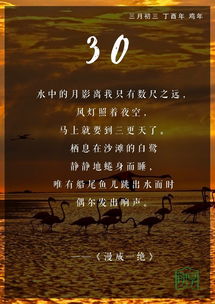 杜甫關(guān)于愛(ài)讀書(shū)的詩(shī)句