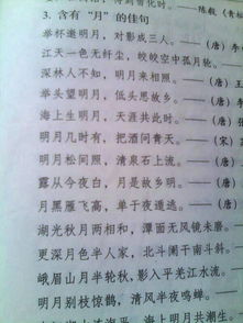 描寫(xiě)天空廣闊的古詩(shī)句