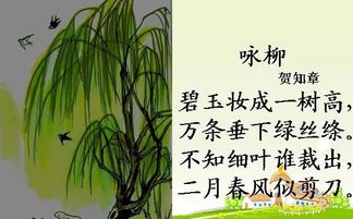 搜集一些關(guān)于樹(shù)的俗語(yǔ)或詩(shī)句