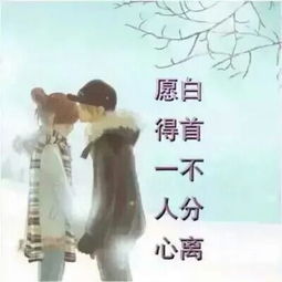 一句,詩(shī)句