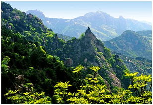 關(guān)于山東魯山的詩(shī)句