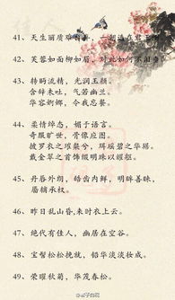 養育之恩的相關(guān)古詩(shī)句