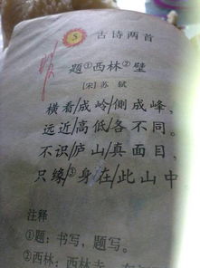 三字題目四字詩(shī)句的古詩(shī)
