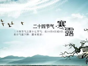 現代關(guān)于節氣的詩(shī)句