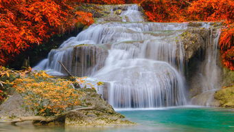 關(guān)于秋天清晨陽(yáng)光的詩(shī)句,關(guān)于冬天清晨陽(yáng)光的詩(shī)句,贊美清晨陽(yáng)光的詩(shī)句