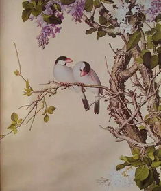 春天花開(kāi)的古詩(shī),描寫(xiě)春天花開(kāi)的古詩(shī),春天花開(kāi)詩(shī)句古詩(shī)