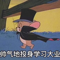 責任與情懷高中議論文(責任與情懷高中議論文700字)
