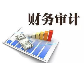 審計自查報告(審計自查報告)