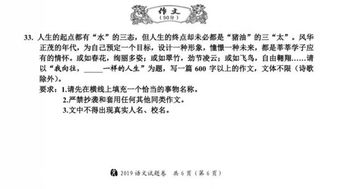我向往飛鳥(niǎo)一樣的人生作文開(kāi)頭
