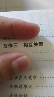 小學互相關(guān)心的作文開頭結(jié)尾