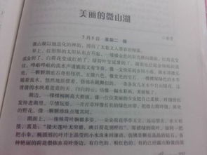 愛(ài)的開(kāi)頭作文600字