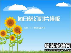 幼兒園教師年度個(gè)人工作述職報告范文(幼兒園教師年度個(gè)人工作述職報告范文)