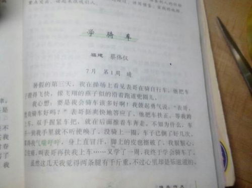 一點(diǎn)光亮作文開(kāi)頭