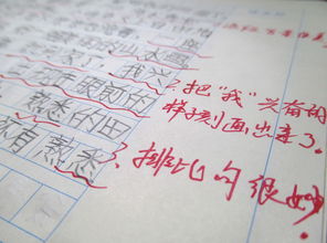 第一次比喻作文開(kāi)頭