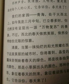 關(guān)于描寫(xiě)美好的家鄉的作文600字作文開(kāi)頭