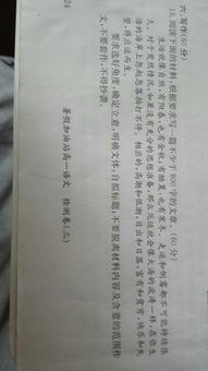 十五，十六作文800字(十五月亮十六圓 )