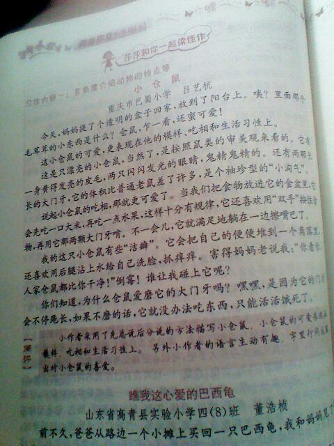 四級寫動物作文開頭結(jié)尾怎么寫
