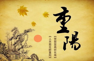 重陽(yáng)節(jié)的作文精彩開(kāi)頭