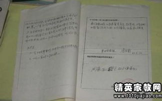個(gè)人轉正定級總結報告范文(教師轉正定級個(gè)人總結報告)