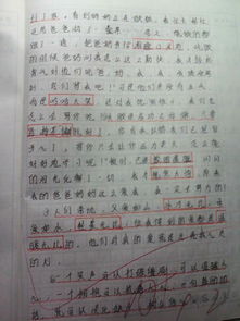 點(diǎn)亮一盞感恩的燈作文開頭