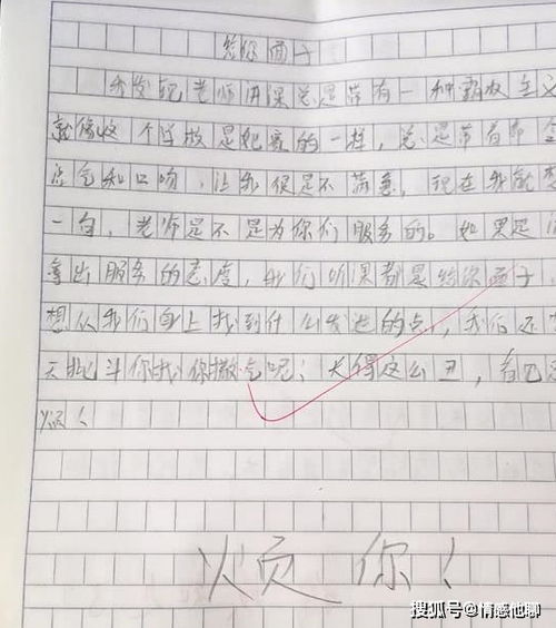 小學(xué)生不理解父母作文開(kāi)頭