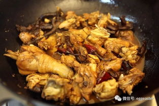 關(guān)于各類(lèi)菌類(lèi)的做法大全(菌菇類(lèi)的簡(jiǎn)單做法大全)