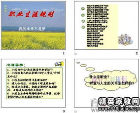 個(gè)人職業(yè)生涯規劃范文(個(gè)人5年職業(yè)生涯規劃書(shū)范文)
