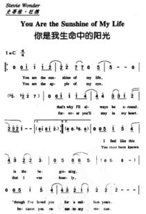 你是我生命里的陽(yáng)光作文開(kāi)頭結尾