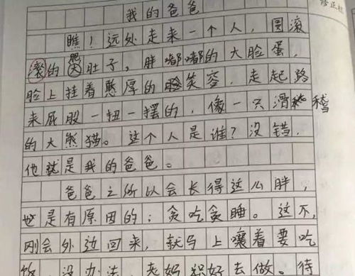 我與爸爸的事作文600字作文開(kāi)頭