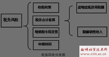 稅務(wù)風(fēng)險風(fēng)險管理專(zhuān)業(yè)論文范文()