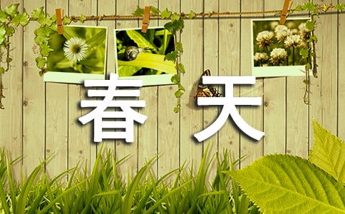 家鄉(xiāng)的春天600字作文開頭