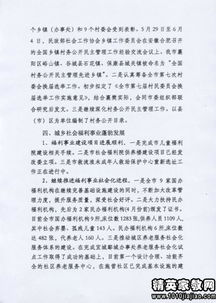 民政統計臺賬自查報告()