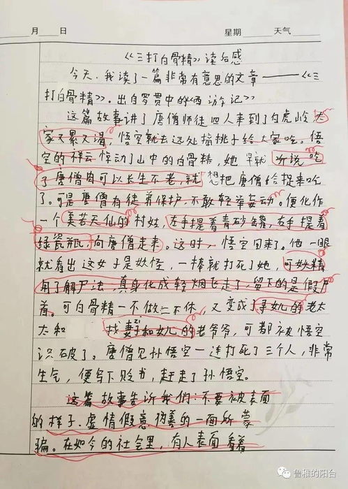 我自己來(lái)選擇作文開(kāi)頭