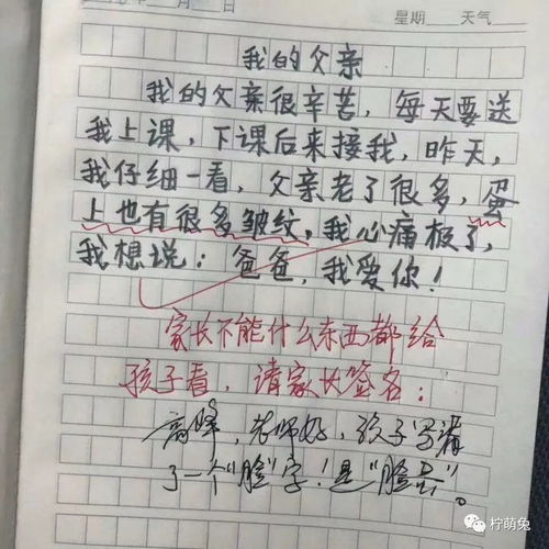 小學(xué)生帶感情作文開(kāi)頭