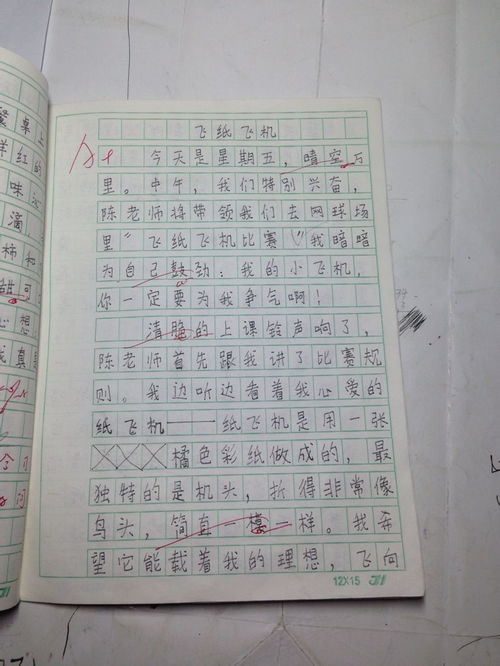 描寫最難忘的一件事作文開頭