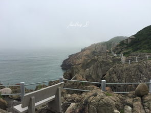 游舟山()