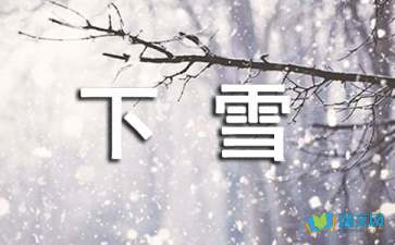 下雪了作文優(yōu)美開(kāi)頭