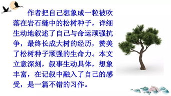 變形記的作文六年級開(kāi)頭結尾,變形記作文小學(xué)六年級開(kāi)頭結尾,變形記作文六年級路燈