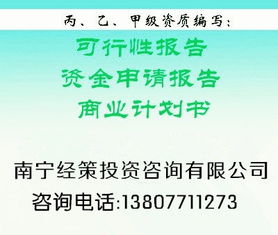 廣告項目可行性報告(項目可行性報告)