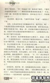 描寫(xiě)運動(dòng)會(huì )的精彩作文開(kāi)頭