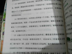 作文摘抄開(kāi)頭40字左右